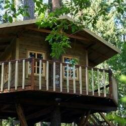 Фото Гостевого дома Царство-Королевство Рощино 22