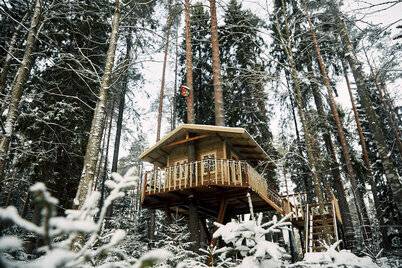 Фото Гостевого дома Царство-Королевство Рощино 82