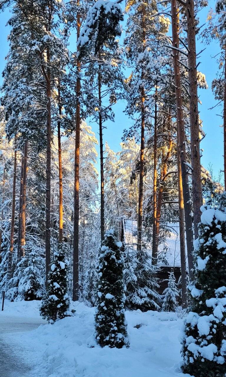 Фото Гостевого дома Царство-Королевство Рощино 99