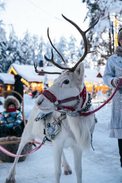 Фото Гостевого дома Царство-Королевство Рощино 68
