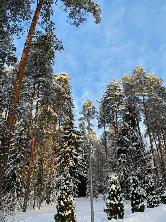 Фото Гостевого дома Царство-Королевство Рощино 94