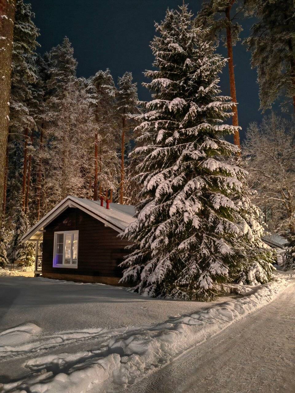 Фото Гостевого дома Царство-Королевство Рощино 60