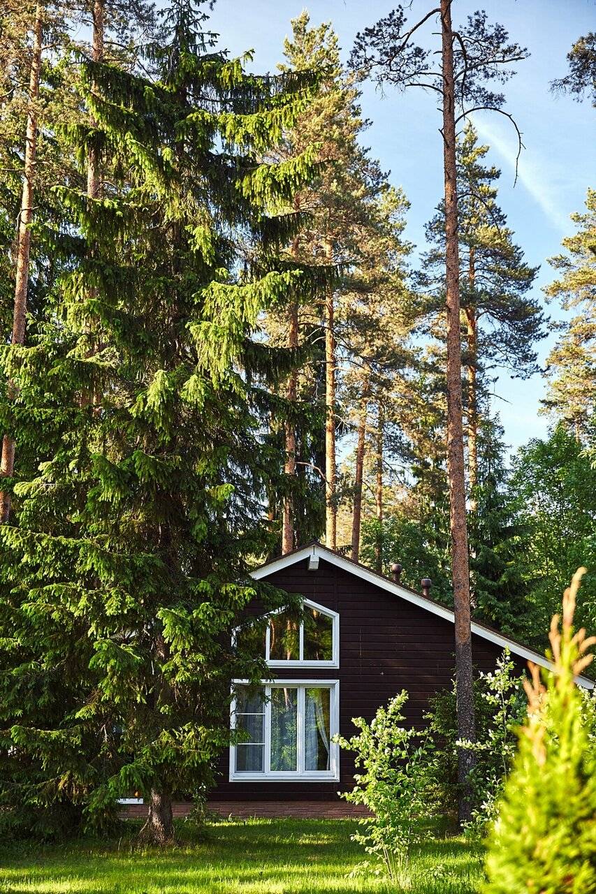 Фото Гостевого дома Царство-Королевство Рощино 9