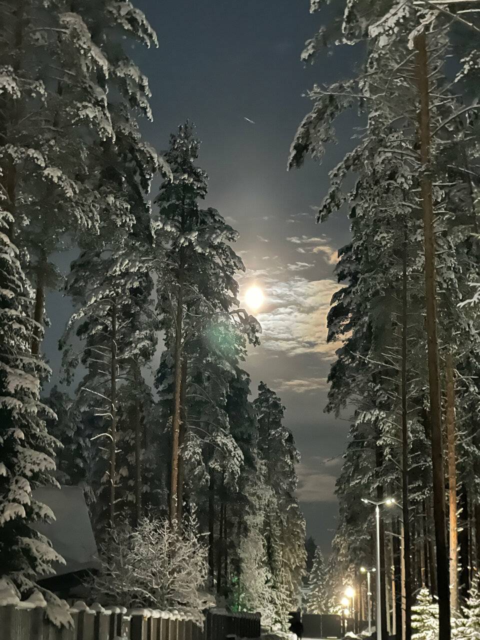 Фото Гостевого дома Царство-Королевство Рощино 76