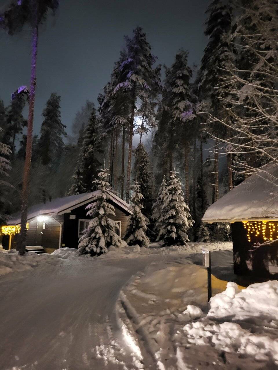 Фото Гостевого дома Царство-Королевство Рощино 88