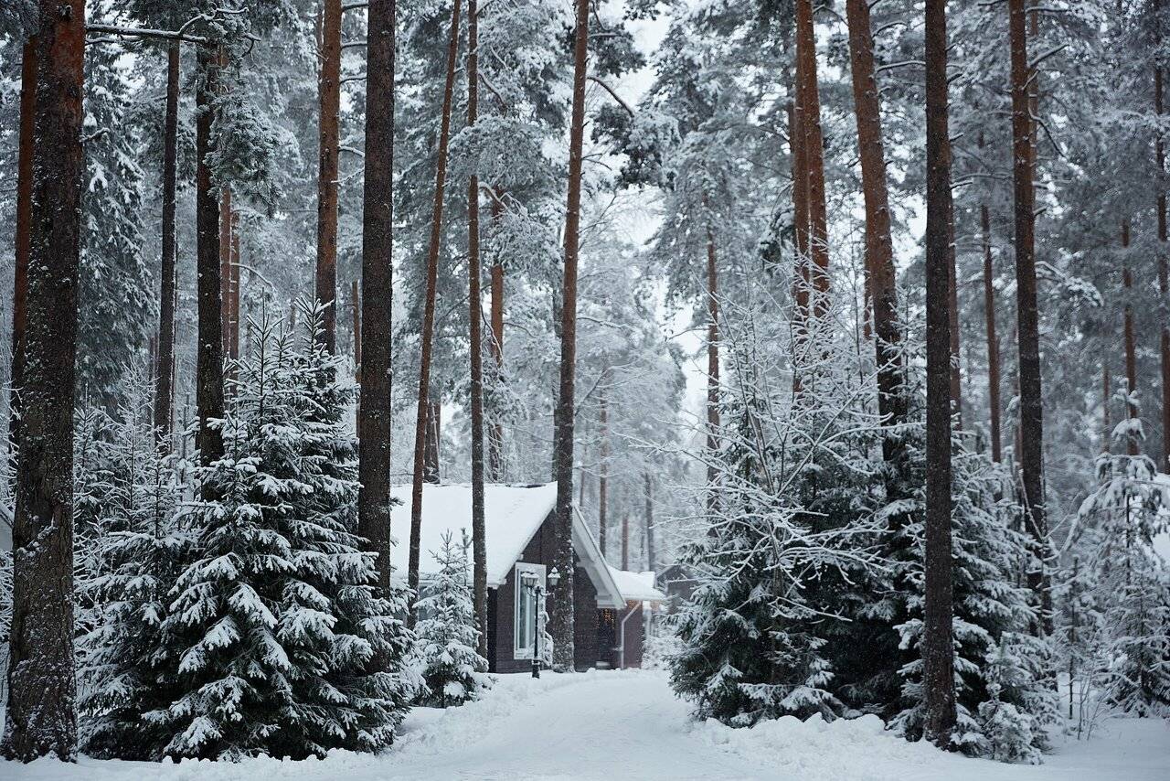 Фото Гостевого дома Царство-Королевство Рощино 69