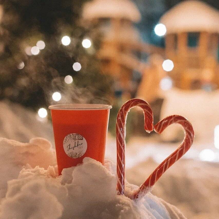 Фото Гостевого дома Царство-Королевство Рощино 61