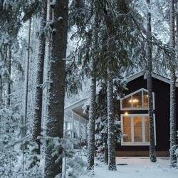 Фото Гостевого дома Царство-Королевство Рощино 124