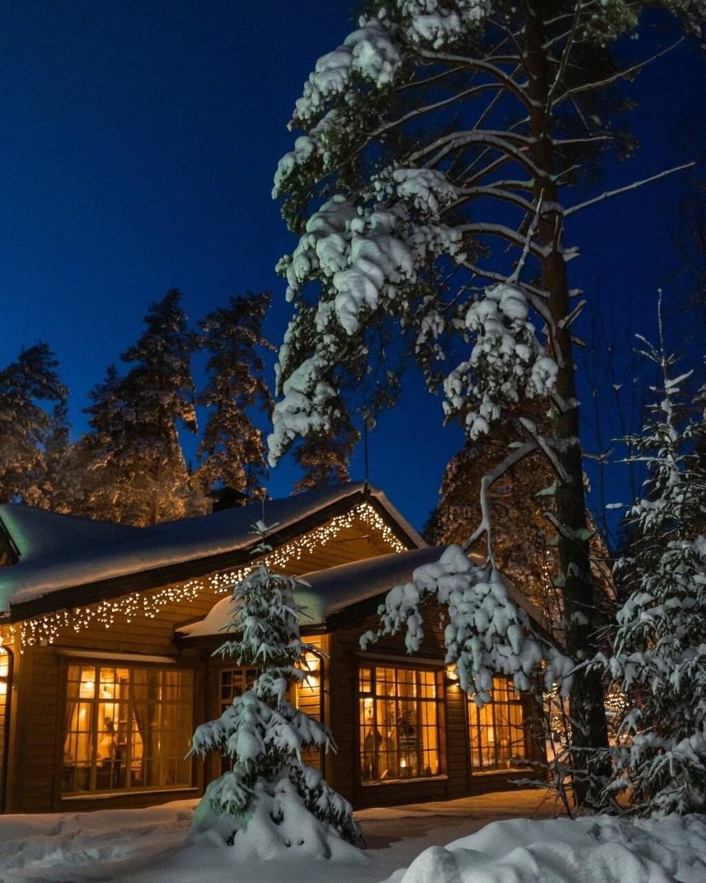 Фото Гостевого дома Царство-Королевство Рощино 75