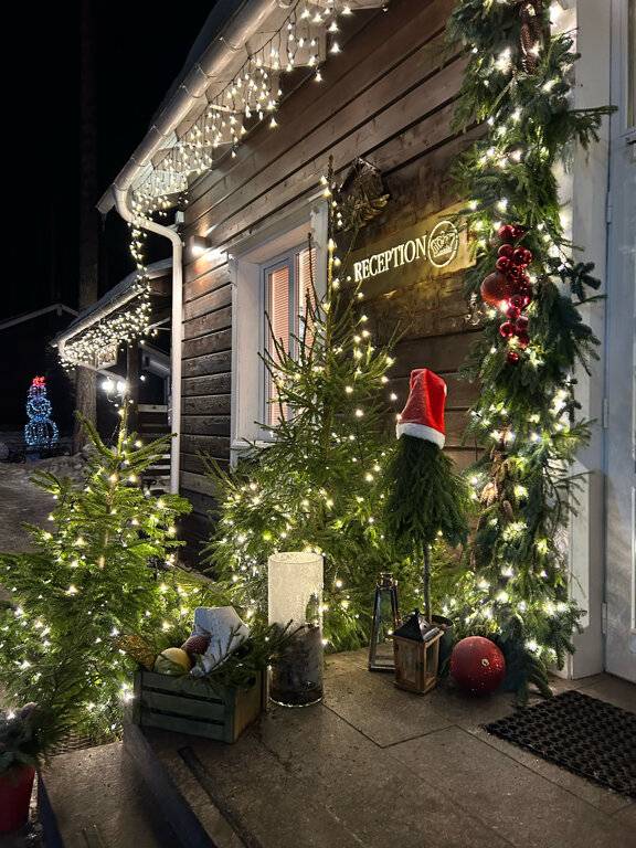 Фото Гостевого дома Царство-Королевство Рощино 90