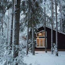 Фото Гостевого дома Царство-Королевство Рощино 80